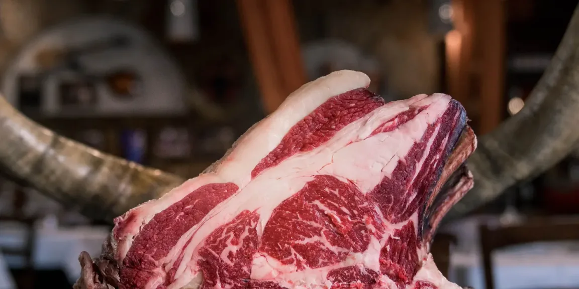 Zu sehen ist ein großes rohes, stark marmoriertes Stück Rindfleisch mit einer dicken Fettschicht, das in einer Metzgereiumgebung vor einem dekorativen Rinderhorn liegt.